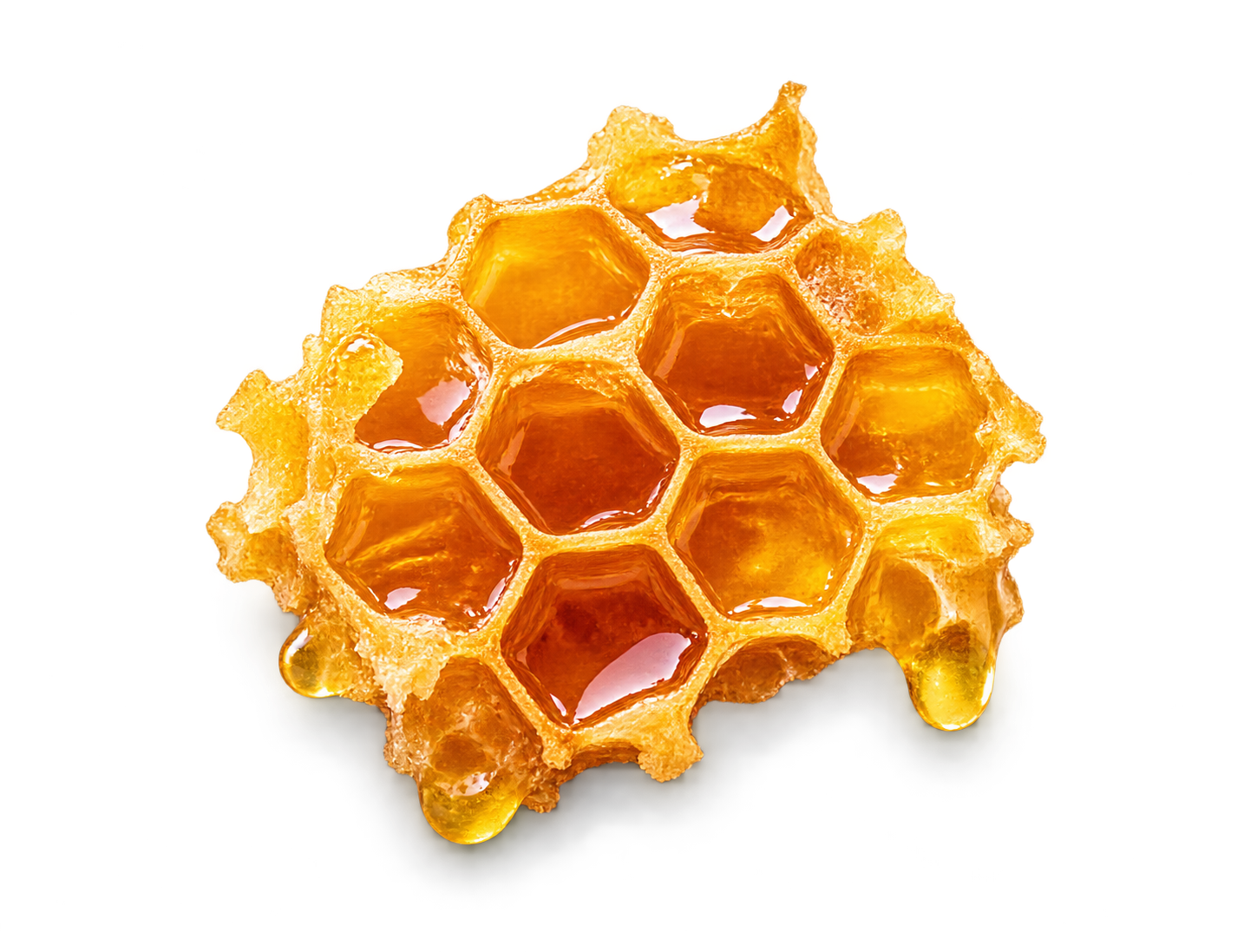 Honeycomb filled with honey